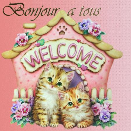 bonjour à tous !